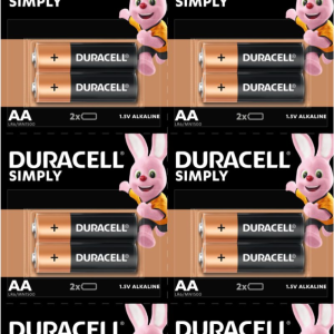 Duracell Batteries 2X10'S Aa Hbdc